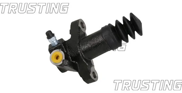 TRUSTING CZ166