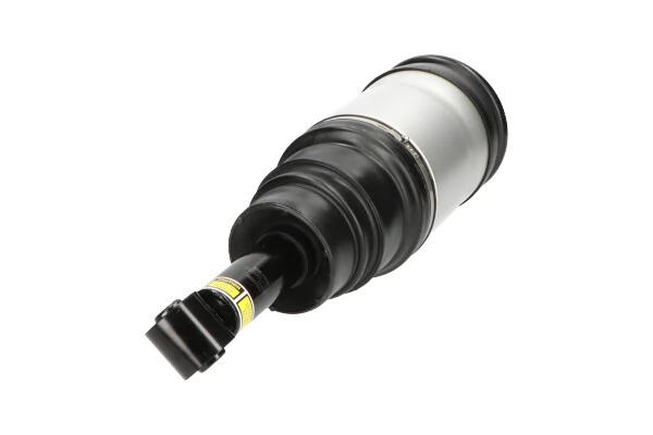 KAVO PARTS SAS-10020