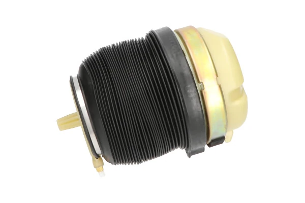 KAVO PARTS SAS-10009