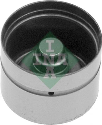 Schaeffler INA 420 0060 10