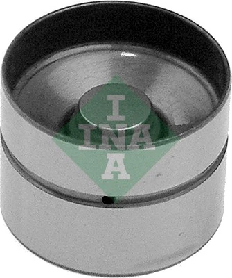 Schaeffler INA 420 0022 10