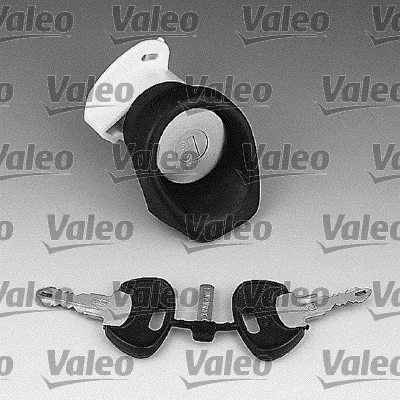 VALEO 252197