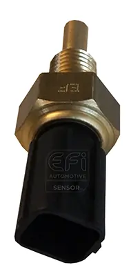 EFI AUTOMOTIVE 295089