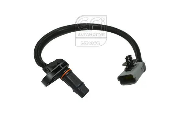 EFI AUTOMOTIVE 303390