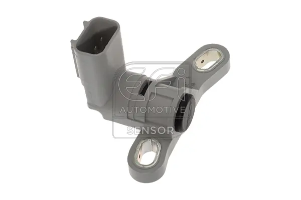 EFI AUTOMOTIVE 145545