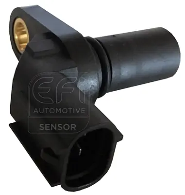 EFI AUTOMOTIVE 303239