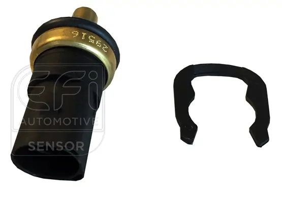 EFI AUTOMOTIVE 295163