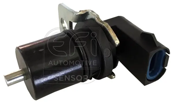 EFI AUTOMOTIVE 303173