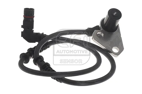 EFI AUTOMOTIVE 302073