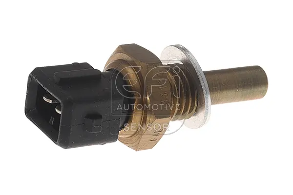 EFI AUTOMOTIVE 295015