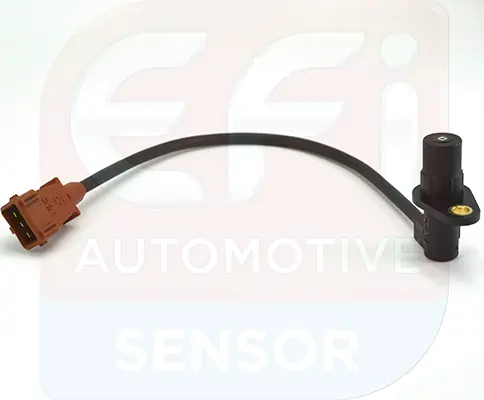 EFI AUTOMOTIVE 144313
