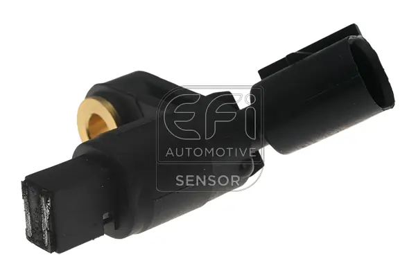 EFI AUTOMOTIVE 302019