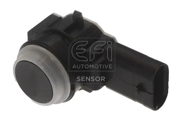 EFI AUTOMOTIVE 306068