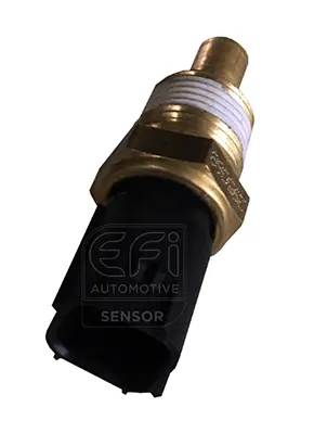 EFI AUTOMOTIVE 295068