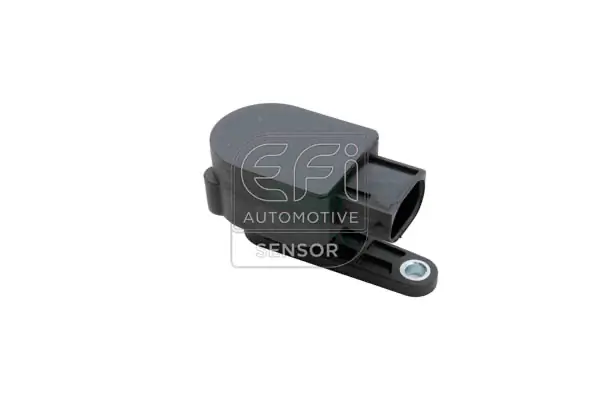 EFI AUTOMOTIVE 307054