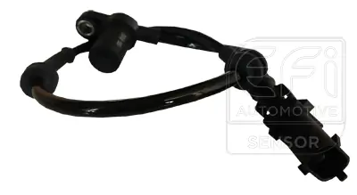 EFI AUTOMOTIVE 302076