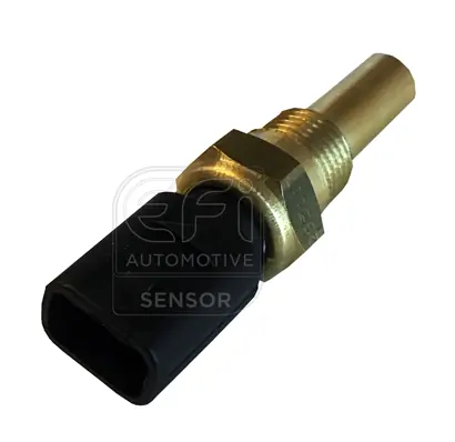 EFI AUTOMOTIVE 295117