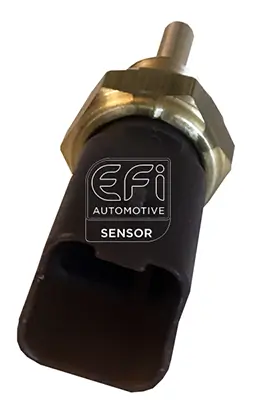 EFI AUTOMOTIVE 295141
