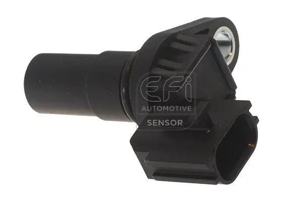 EFI AUTOMOTIVE 303497