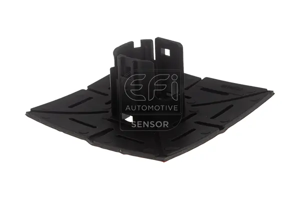 EFI AUTOMOTIVE 306099s