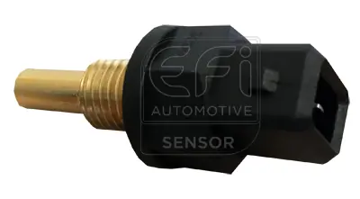 EFI AUTOMOTIVE 295077
