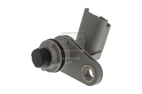 EFI AUTOMOTIVE 147250
