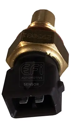 EFI AUTOMOTIVE 295081