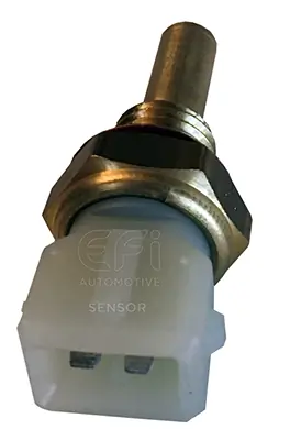 EFI AUTOMOTIVE 295002