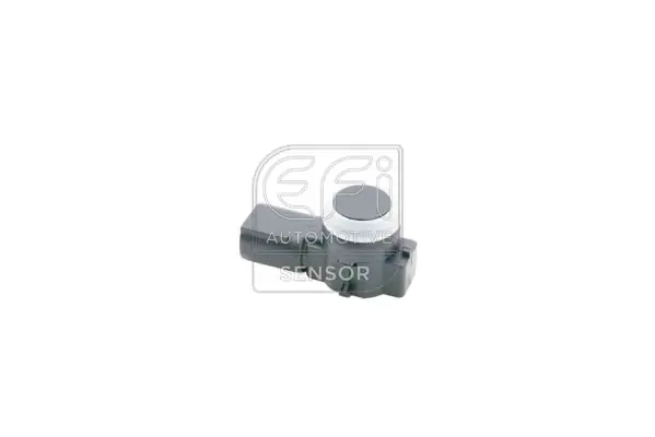 EFI AUTOMOTIVE 306080