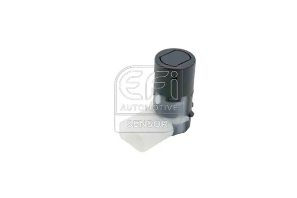 EFI AUTOMOTIVE 306083