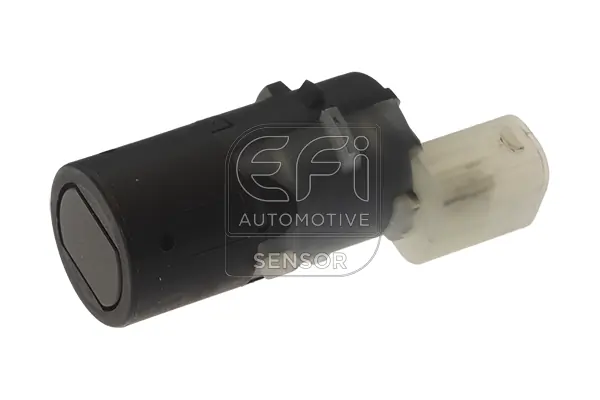 EFI AUTOMOTIVE 306013