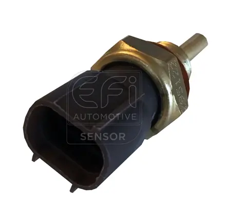 EFI AUTOMOTIVE 295122