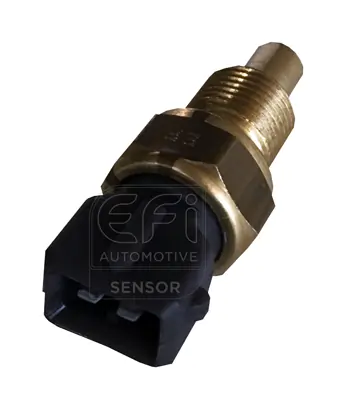 EFI AUTOMOTIVE 295171