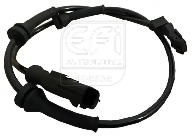 EFI AUTOMOTIVE 302054