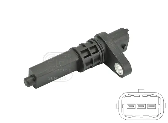 EFI AUTOMOTIVE 303273