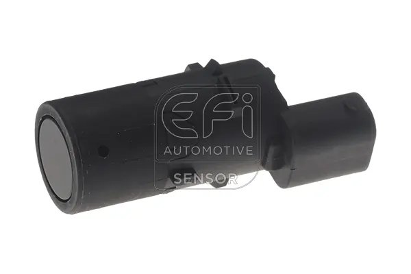 EFI AUTOMOTIVE 306002