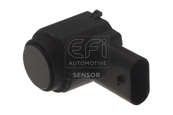 EFI AUTOMOTIVE 306062