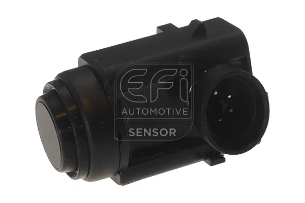 EFI AUTOMOTIVE 306011