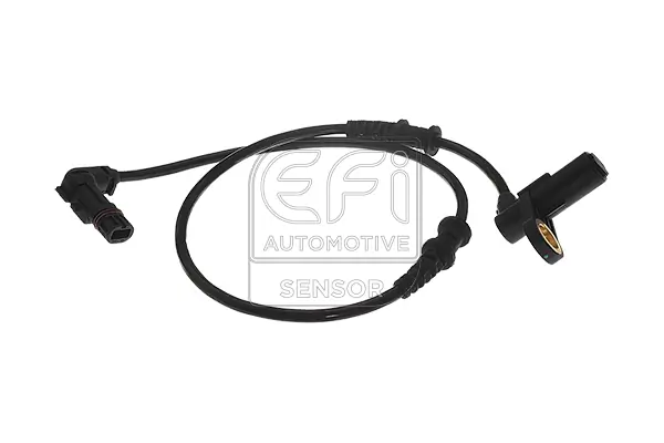 EFI AUTOMOTIVE 302051