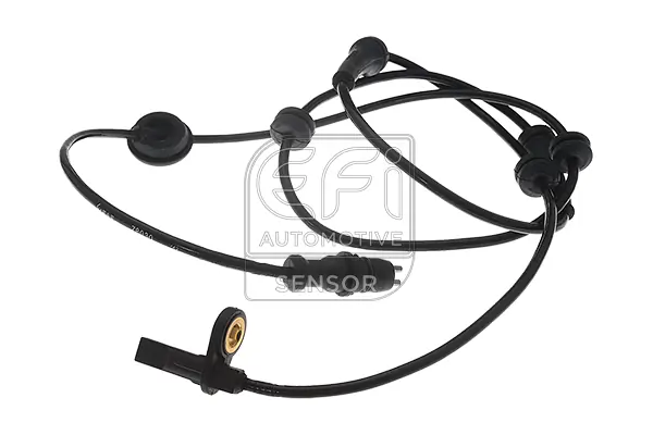 EFI AUTOMOTIVE 302029