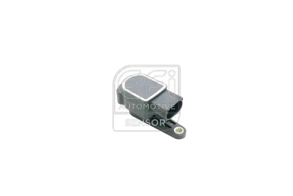 EFI AUTOMOTIVE 307035