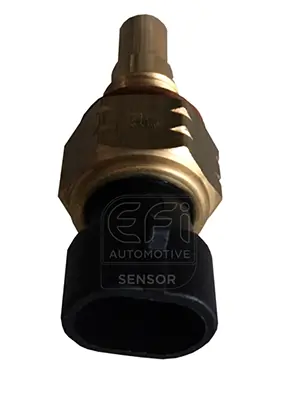 EFI AUTOMOTIVE 295066