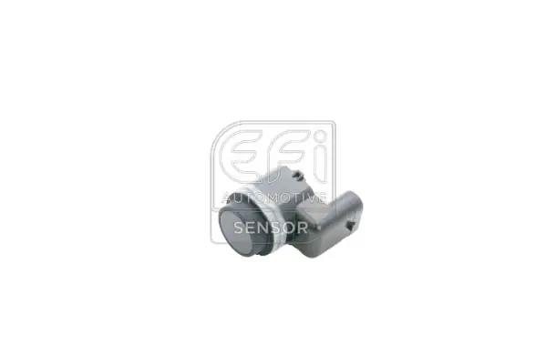 EFI AUTOMOTIVE 306082