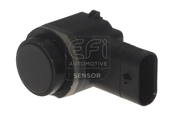 EFI AUTOMOTIVE 306029
