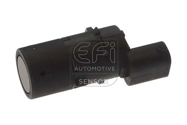 EFI AUTOMOTIVE 306038
