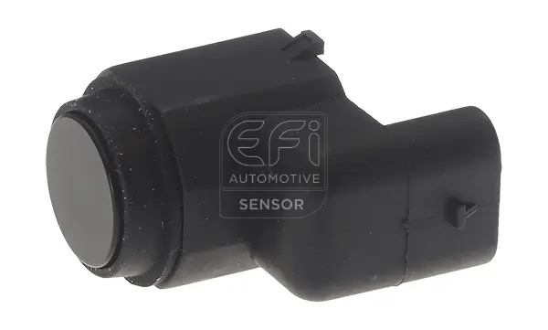 EFI AUTOMOTIVE 306064
