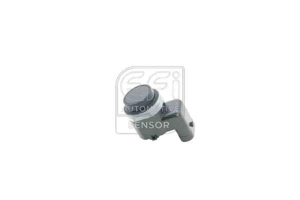 EFI AUTOMOTIVE 306081