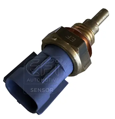 EFI AUTOMOTIVE 295093
