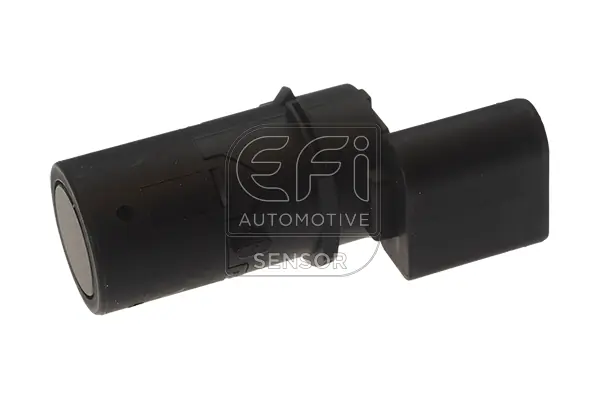 EFI AUTOMOTIVE 306061