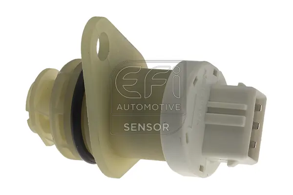 EFI AUTOMOTIVE 304002